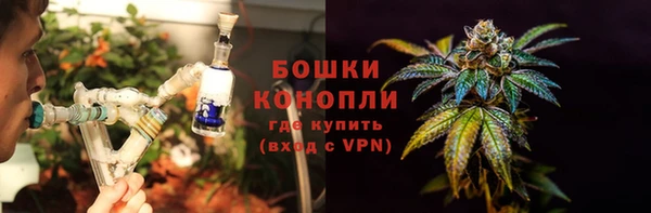 метадон Богданович