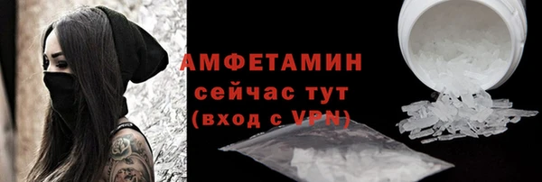 крисы Богородицк